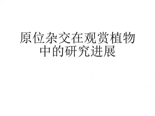 原位杂交在观赏植物中的研究进展