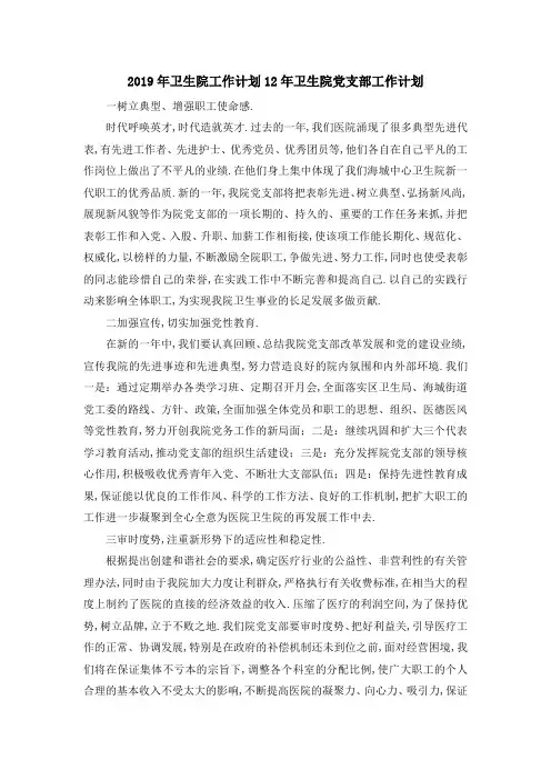 2019年卫生院工作计划 2019年卫生院党支部工作计划 精品