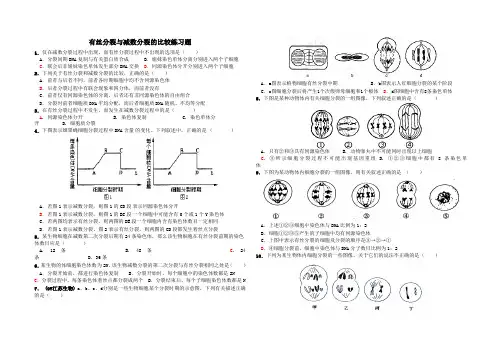 有丝分裂与减数分裂综合练习题及答案