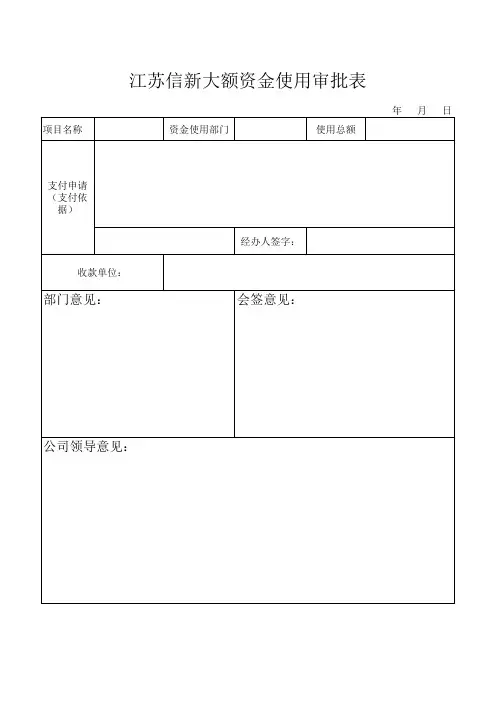 大额资金审批表