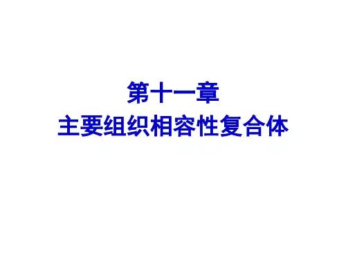 医学免疫学第十一章主要组织相容性复合体