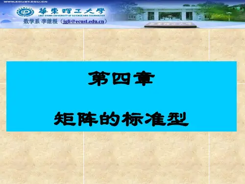 矩阵的标准型