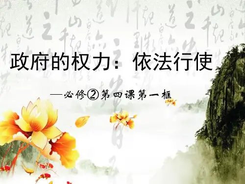 人教版必修2政治课件:第四课 第一框《政府的权利:依法行使》