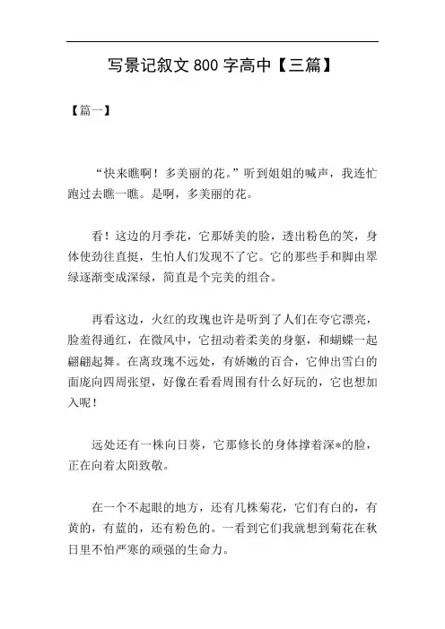 写景记叙文800字高中【三篇】