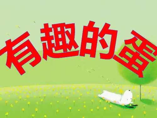 大班科学《有趣的蛋》PPT课件