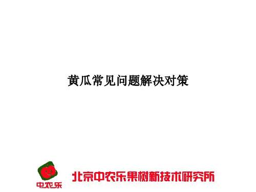 黄瓜常见问题解决对策