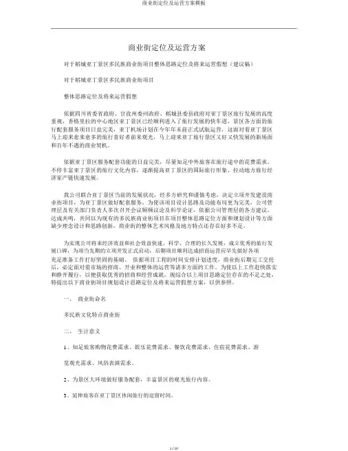 商业街定位及运营方案模板