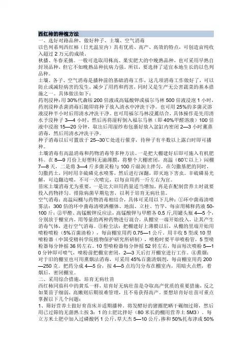 西红柿的种植方法