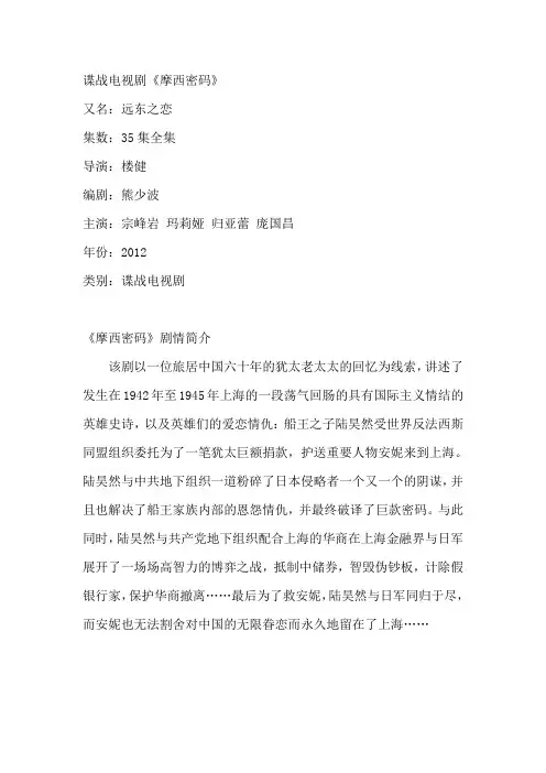 电视剧《摩西密码》剧情介绍