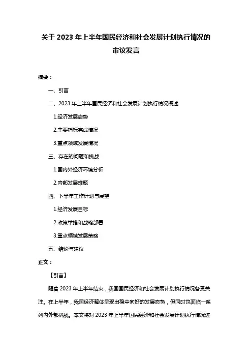 关于2023年上半年国民经济和社会发展计划执行情况的审议发言