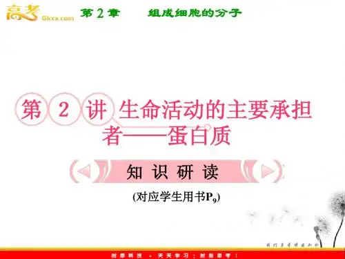 2012立体设计高三生物一轮复习人教版:第二章 第2讲 生命活动的主要承担者——蛋白质