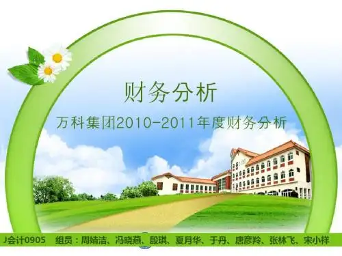财务分析 万科集团.(2)