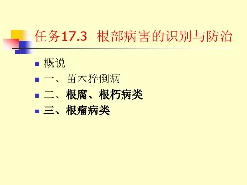观赏植物病虫害识别与防治根部病害的识别与防治