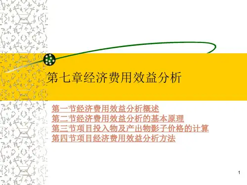第七章项目经济费用效益分析