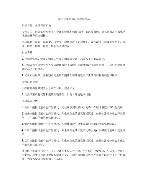 初中化学金属沉淀教案全套
