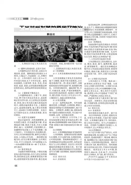 玉米苗后发黄的原因及防治
