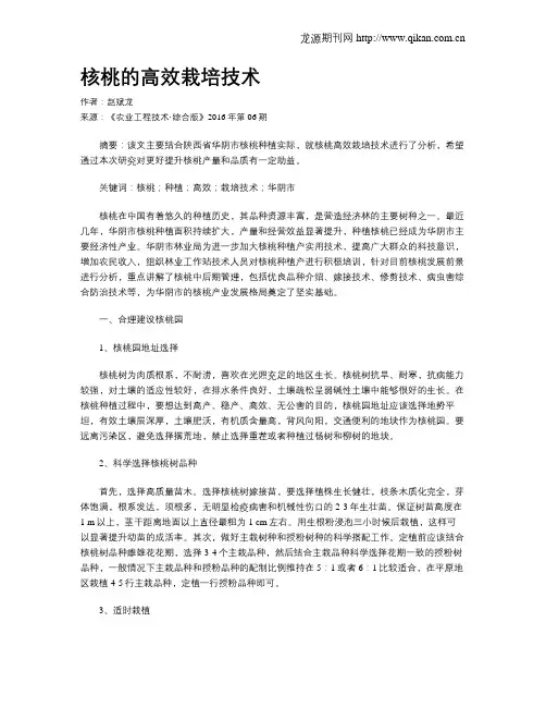 核桃的高效栽培技术
