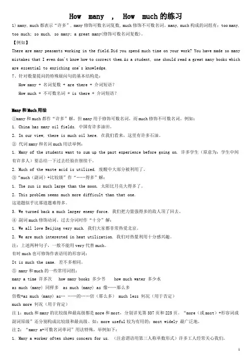 12、How many , How much的练习