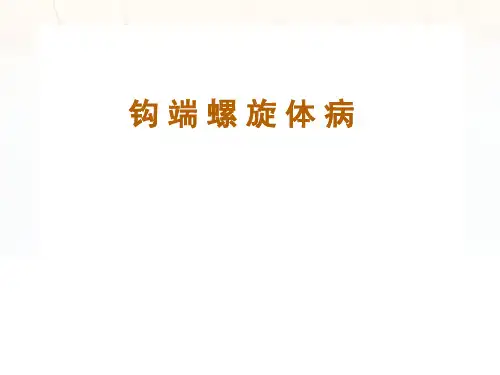 钩端螺旋体病  ppt课件