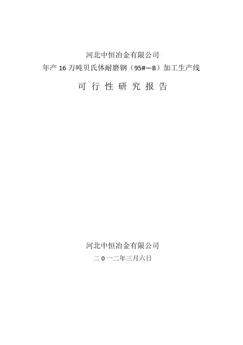 可研报告范本