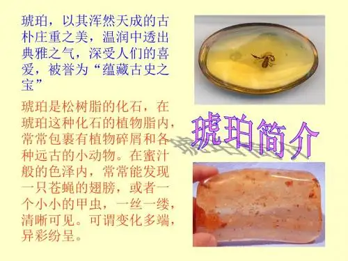 21《奇异的琥珀》1_六年级语文课件hao