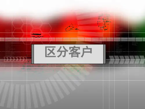 客户关系管理PPT:区分客户