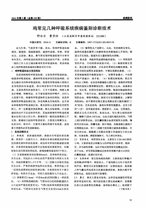 鸡常见几种呼吸系统疾病鉴别诊断技术