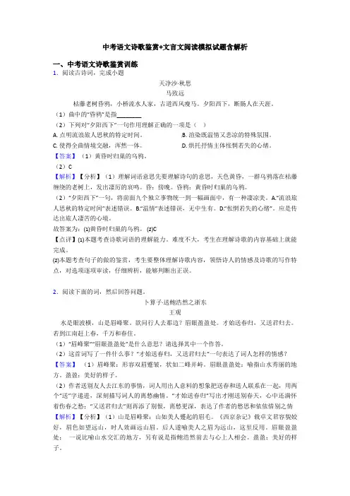 中考语文诗歌鉴赏+文言文阅读模拟试题含解析