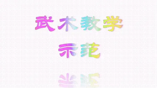 武术教学法之示范(2018)