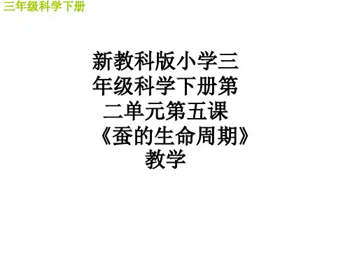 新教科版小学三年级科学下册第二单元第五课《蚕的生命周期》教学ppt课件