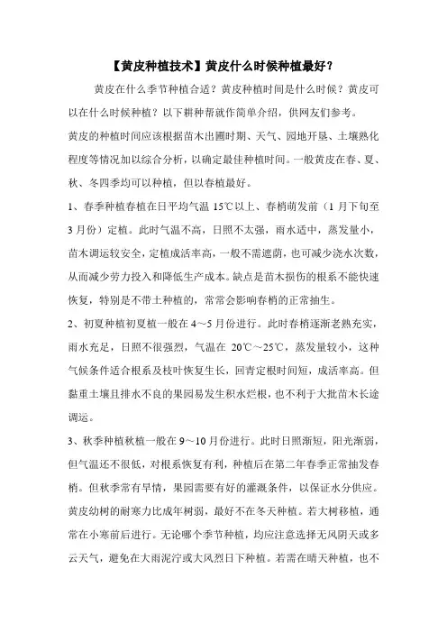 【黄皮种植技术】黄皮什么时候种植最好？