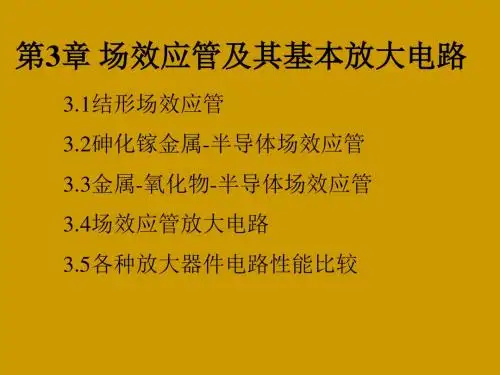 场效应管及其基本放大电路幻灯片