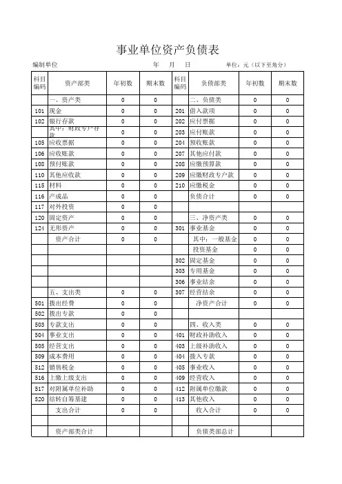 wps版事业单位资产负债表