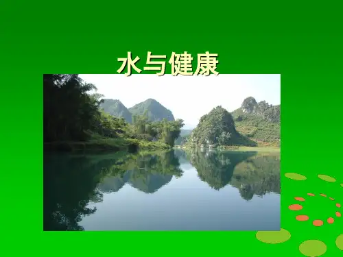 水的污染与处理 ppt课件