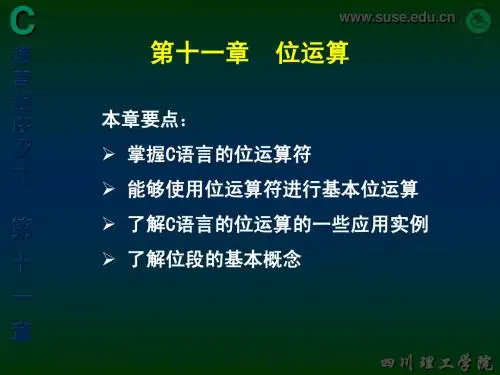 第十一章 位运算
