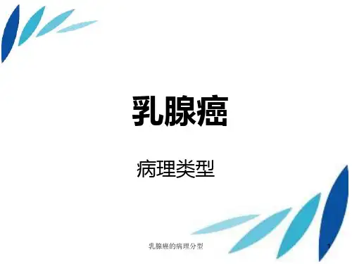 乳腺癌的病理分型ppt课件