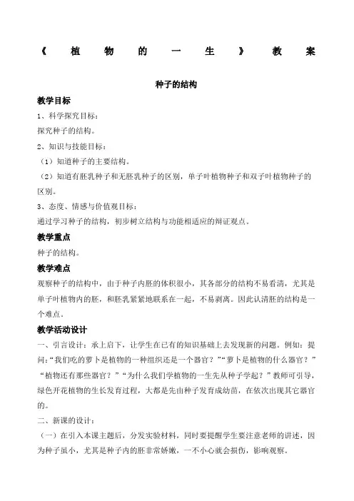 植物的一生教案
