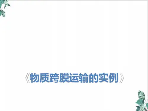 必修一物质跨膜运输的实例课件高考一轮复习生物公开课PPT