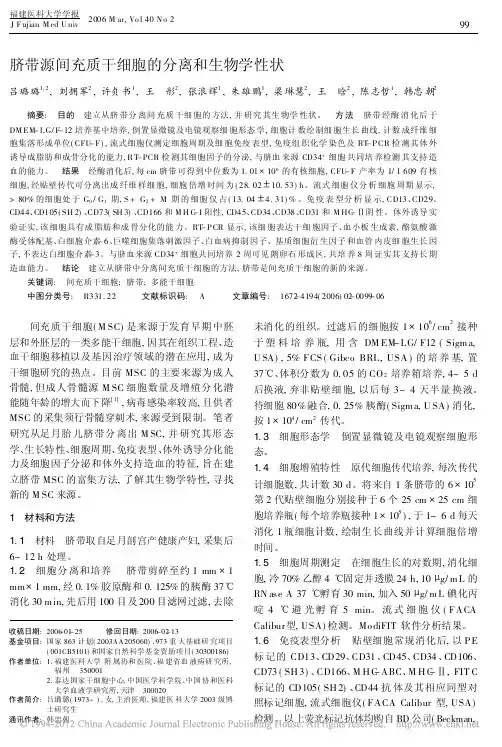 脐带源间充质干细胞的分离和生物学性状_吕璐璐