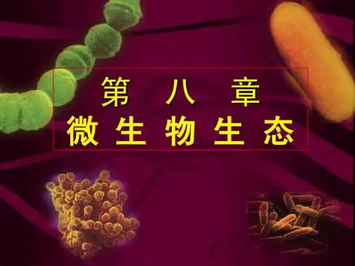 第8章 微生物课件
