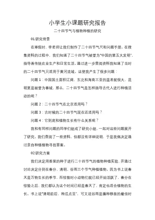 小学生小课题研究报告