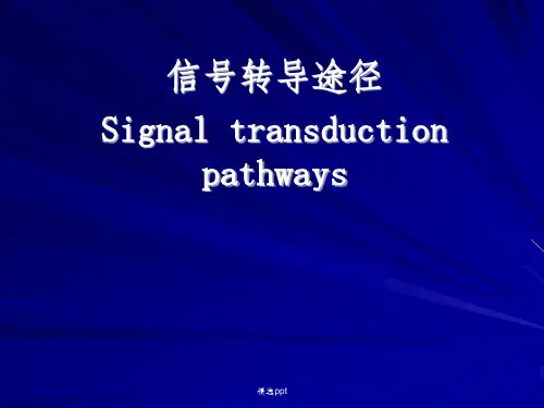信号转导途径---生理
