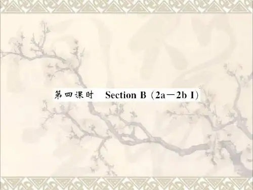 九年级英语全册Unit13We’retryingtosavetheearth第4课时课件新版人教新目标版
