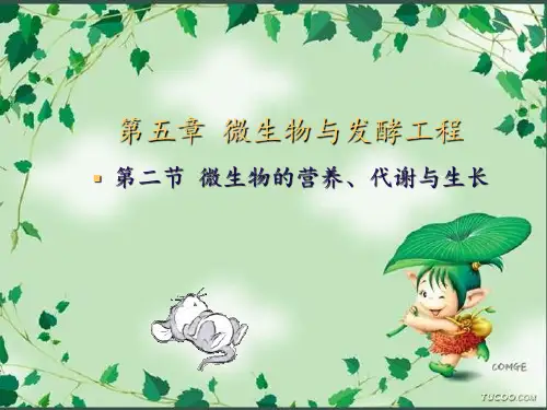 微生物代谢 ppt课件