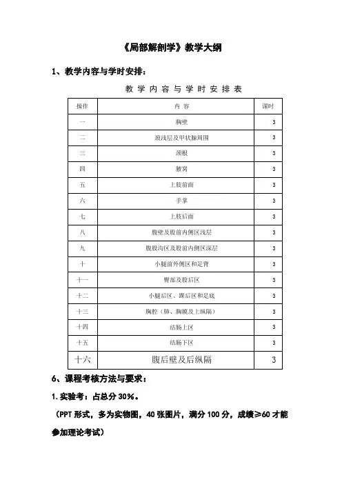 《局部解剖学》教学大纲 2