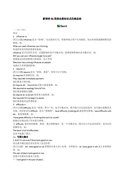 个人制作新译林9A英语全册知识点归纳总结
