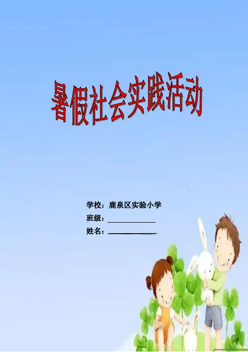 2017暑假社会实践活动