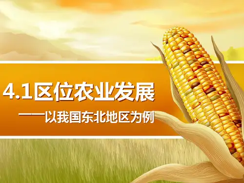 人教版高中地理 必修三 第四章 第一节 区域农业发展-以我国东北地区为例  (共27张PPT)
