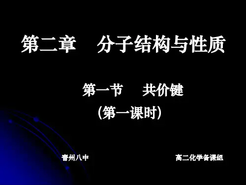 共价键_σ键_π键