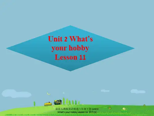 最新人教版英语精通六年级下册-Unit 2 What's your hobby Lesson 11 